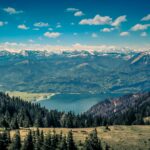 Heiress Enlists Fifty Citizens to Distribute Her Wealth