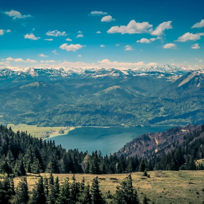 Heiress Enlists Fifty Citizens to Distribute Her Wealth